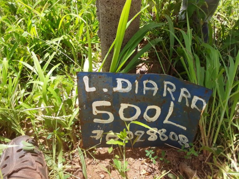 Spoliation foncière la préfecture de Kati crée illégalement 104 titres précaires à Banankoro