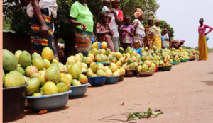 290035273_5199056683553874_5887558175245688608_n