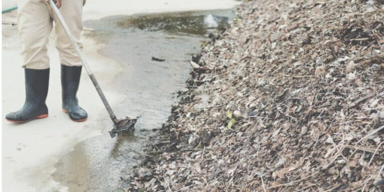 shutterstock_2029902980-800x400