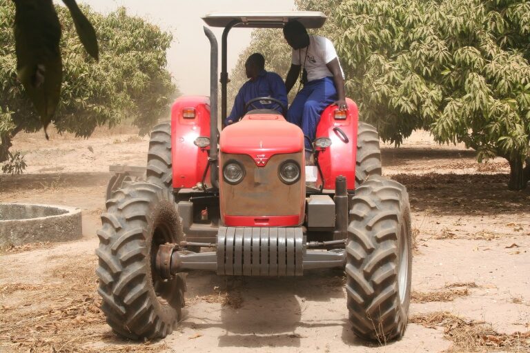 LOI D’ORIENTATION AGRICOLE DU MALI LA VOIE DE LA FORMALISATION DE L’AGRICULTURE