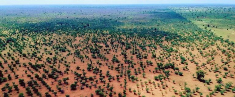 Région du Ferlo, Sénégal c S. Taugourdeau, Cirad