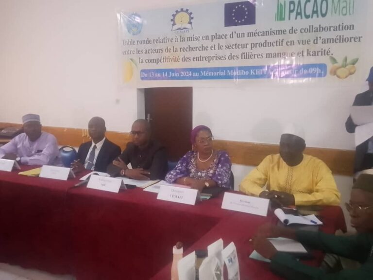 WhatsApp Image 2024-06-14 at 12.04.12