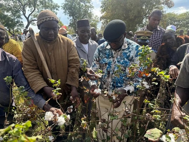 Faire du Mali une puissance agricole nécessité une réelle volonté politique accordant au secteur rurale l’importance requise et des investissements conséquents qui ne tombent pas sur des comptes privés