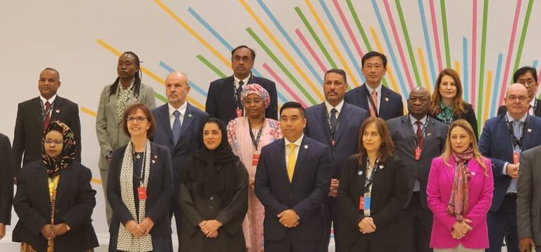 IMG-20241115-WA0635(1)