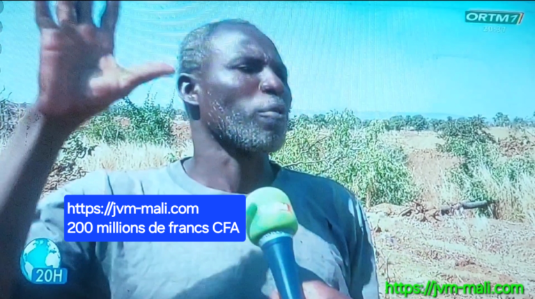 Screenshot_20250104_092431_Studio-768x430