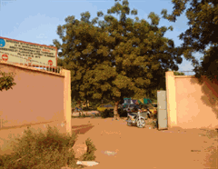 Thumbnail_ONT_240x190