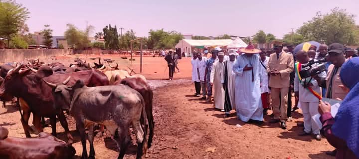 FB_IMG_1742854844752