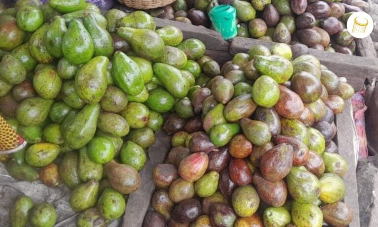 Une-large-selection-davocats-en-vente-au-marche-de-Medina-coura-a-Bamako