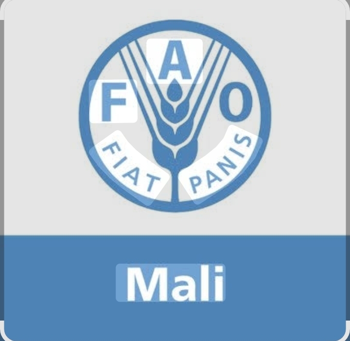 Screenshot_20250814_080319_Google