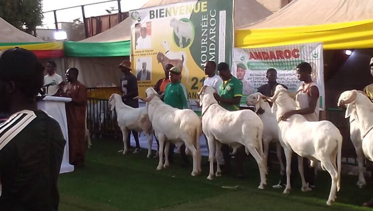 FB_IMG_1769533520455