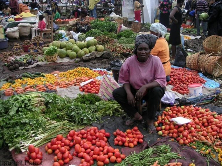 IMG-20250729-WA00301