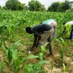 sm_1685552609.514955