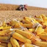 FB_IMG_1771309915985