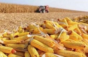 FB_IMG_1771309915985