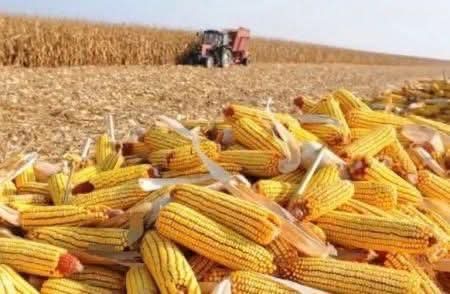 FB_IMG_1771309915985