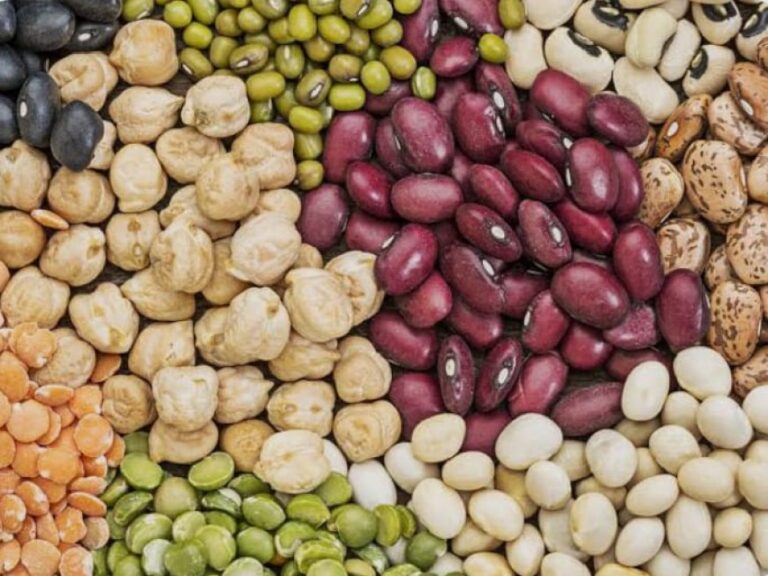 image_870x_69bc1e415056d