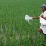 FB_IMG_1776134607536